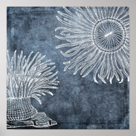 Poster Anêmona Marítima Aquarela Oceano Azul Branco
