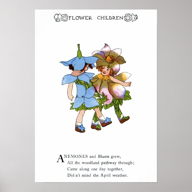 Poster Anêmonas e Bluets (Frente)