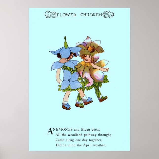 Poster Anêmonas e Bluets (Frente)
