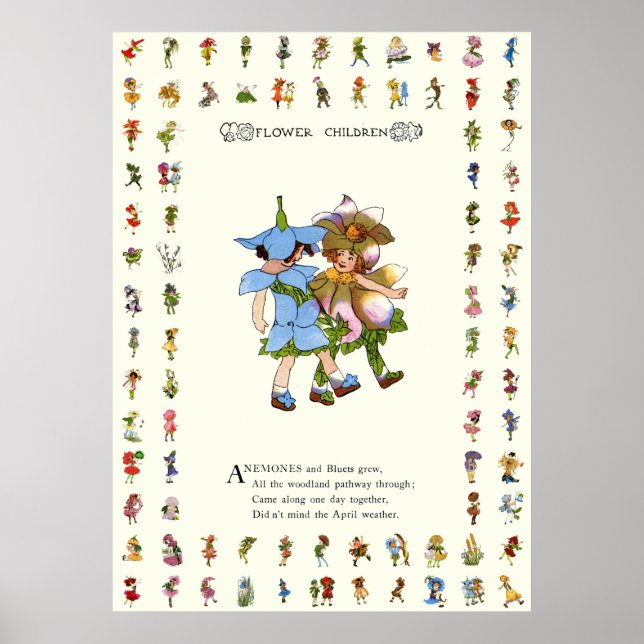 Pôster Anêmonas e Bluets (Frente)