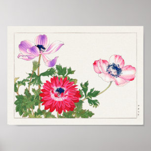 Poster Anemone coronaria por Tanigami Konan