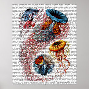 Poster Anêmone do mar