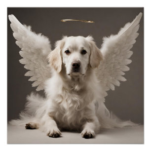 Pôster Angel Dog