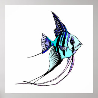 Pôster Angel Fish