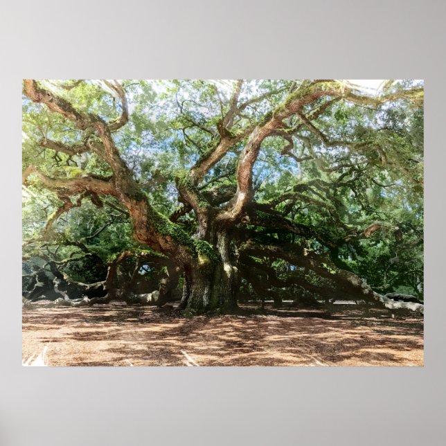 Poster Angel Oak Watercolor (Frente)