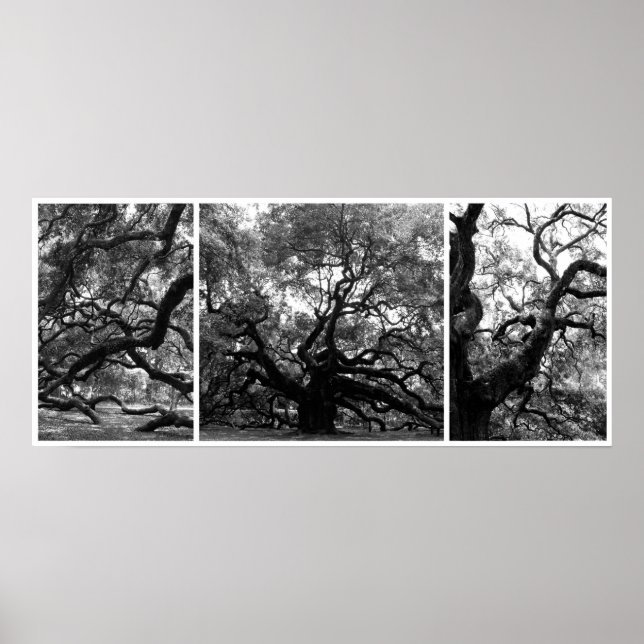 Poster Angel Tree Collage (Frente)