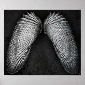 Pôster Angel Wings BW