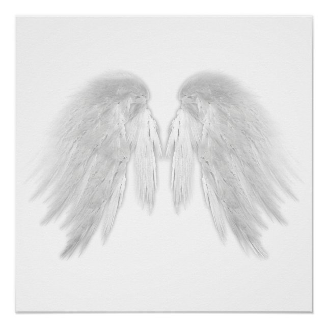 Pôster ANGEL WINGS White (Frente)