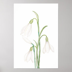 Poster angélicas flores de neve aquosa