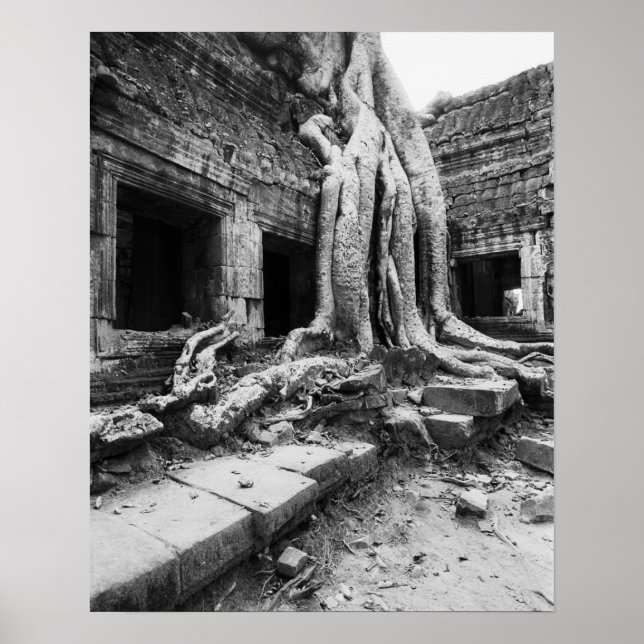 Poster Angkor Camboja, Ta Prohm Tree (Frente)