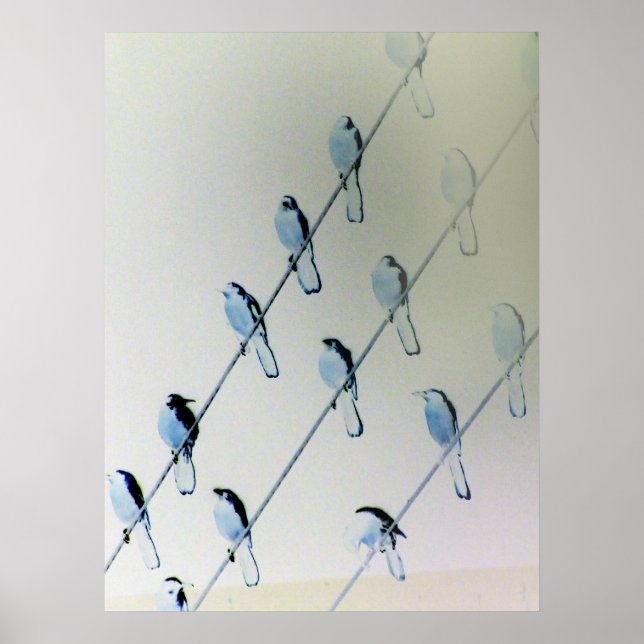 Pôster Angled Inverted Birds (Frente)
