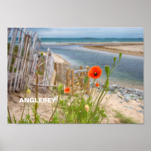 Poster Anglesey Wales Scenic View Beach E Wild Poppies (Frente)