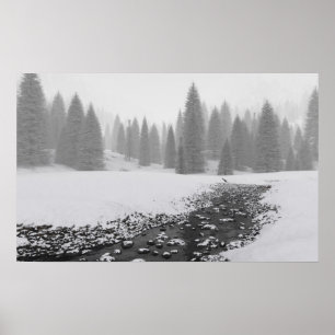 Poster Angra nevado
