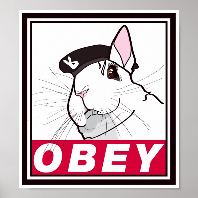 POSTER ANGRY JACK (Frente)