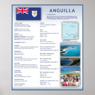 Pôster Anguila