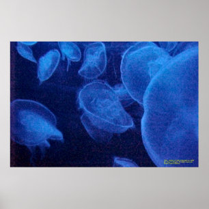 Poster Ângulos de luz