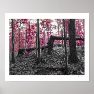 Poster Ângulos Diretos