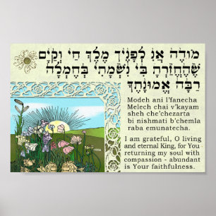 Poster Ani de Modeh - despertando a meditação