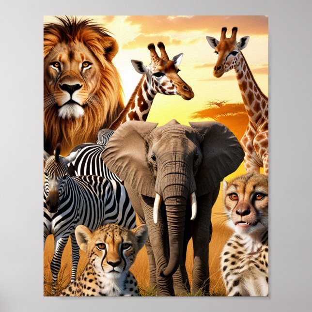Poster Animais africanos (Frente)