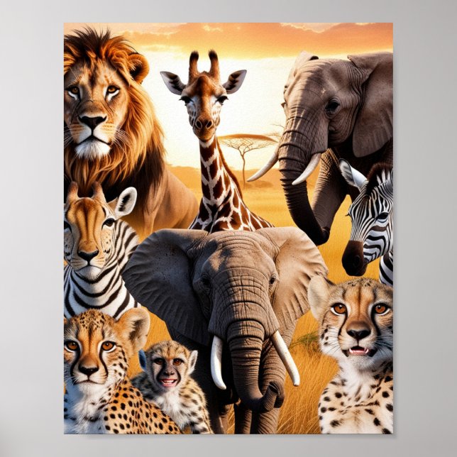 Poster Animais africanos (Frente)