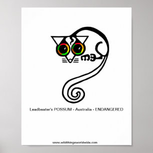 Poster Animais ameaçados - Pós-SOMA do Batedor de Lideran