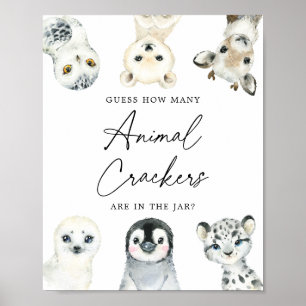Poster Animais Árcticos Adivinham Quantos Sanitários De A