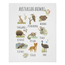 Animais australianos