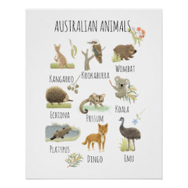 Pôster Animais australianos