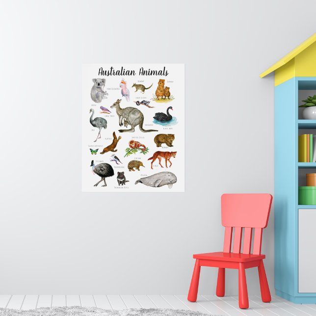 Poster Animais Australianos | Aprendizado Educacional Sal (Berçário 1)