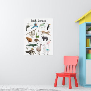 Poster Animais da América do Sul   Sala de Aula Educacion