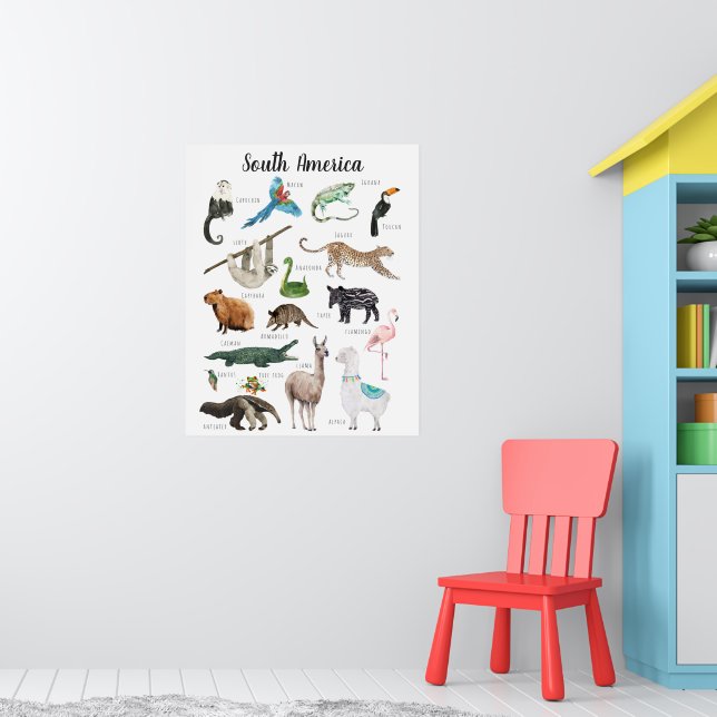Poster Animais da América do Sul | Sala de Aula Educacion (Berçário 1)
