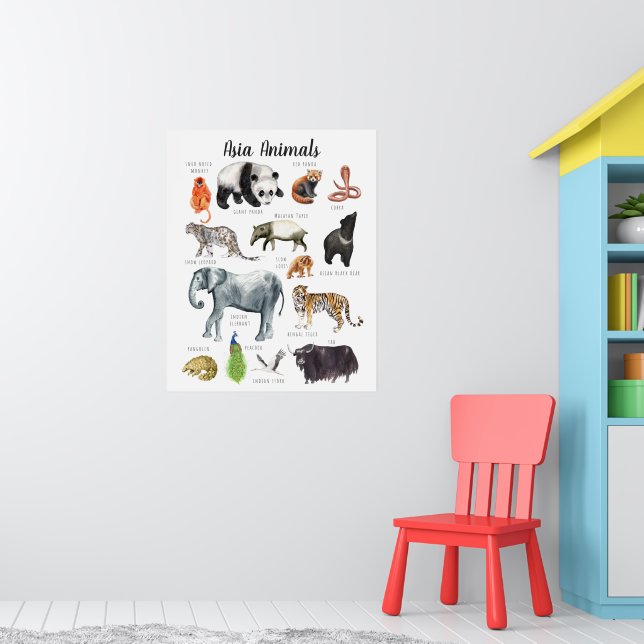 Poster Animais da Ásia | Educação Aprendizado Sala de Aul (Berçário 1)