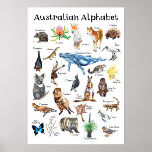 Poster Animais da Austrália