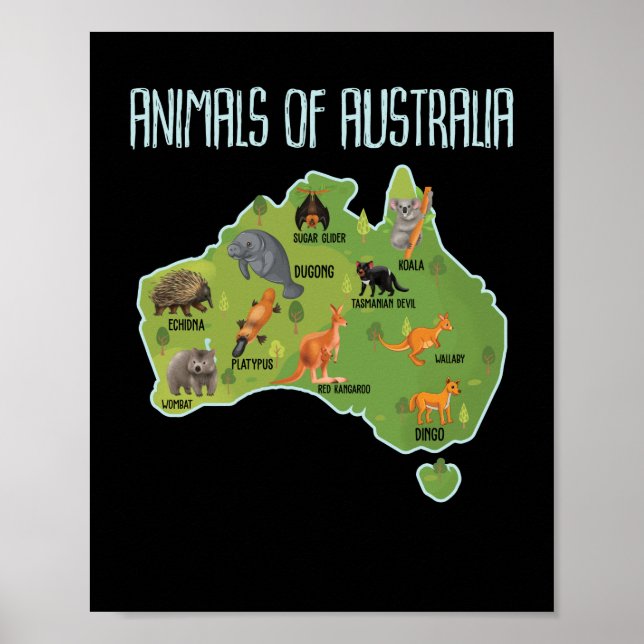 Poster Animais Da Austrália, Educativos Em Animais (Frente)