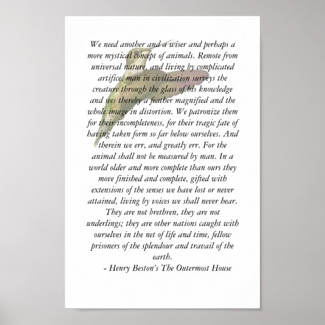 Poster Animais da Casa Ultraperiférica (Frente)