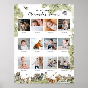 Poster Animais Da Floresta   1rua Ano 12 Mês de Colagem d