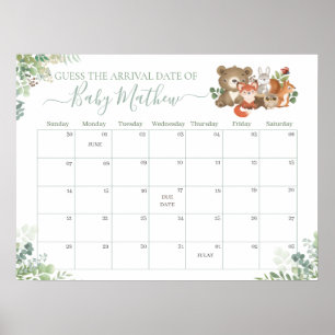 Poster Animais da Floresta Adivinham Jogo de Nascimento d