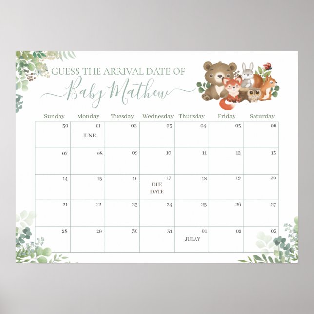 Poster Animais da Floresta Adivinham Jogo de Nascimento d (Frente)