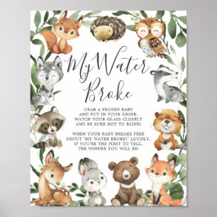 Poster Animais Da Floresta Chá de fraldas Minha Água Queb