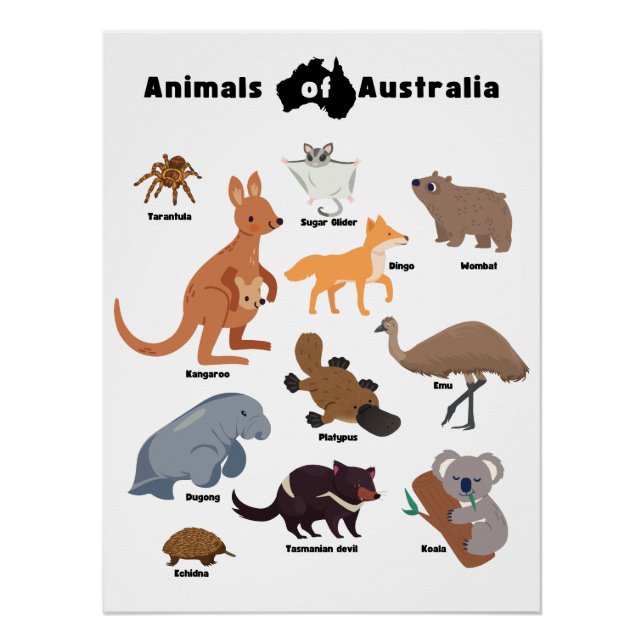 Pôster Animais da Vida Selvagem Aussie da Austrália (Frente)