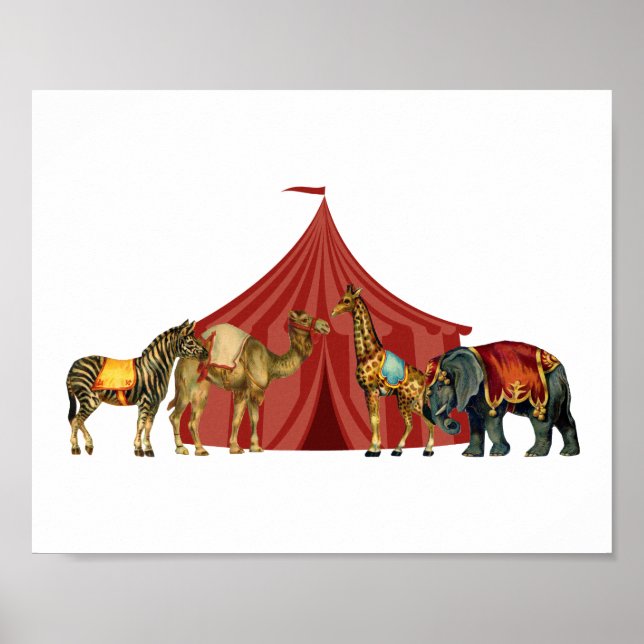 Poster Animais De Circo E Tent (Frente)