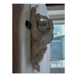 Pôster Animais De Companhia Das Toalhas De Suíno Em Cruza