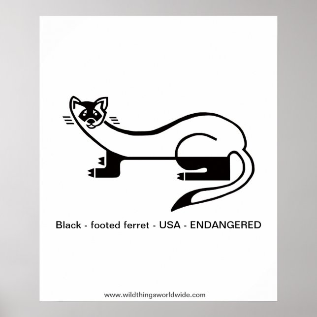 Poster Animais de criação de animais de raça negra (Frente)