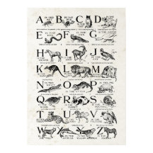 Animais de Cuta do Gráfico de Alfabeto Inspirados
