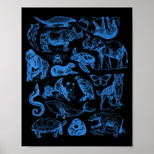 Poster Animais de Tatuagem Retro Vida Selvagem Conservaçã