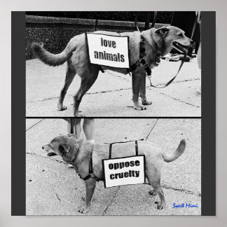 Pôster Animais do Amor