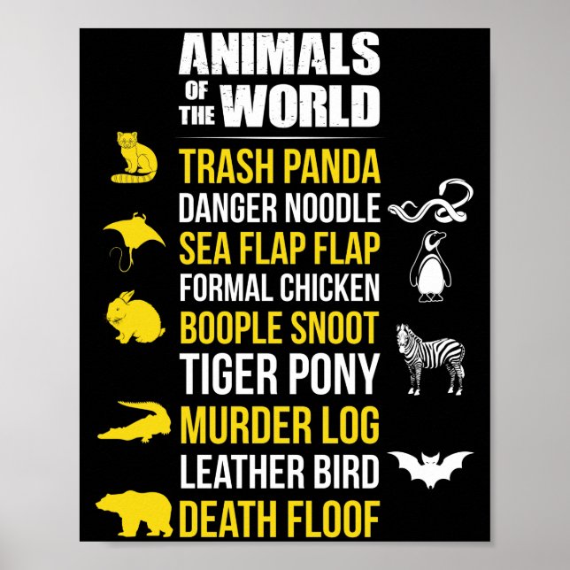 Poster Animais Do Mundo Trash Panda Perigo Noodle (Frente)