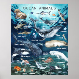 Poster Animais do Oceano | Aprendizado Educacional em Sal