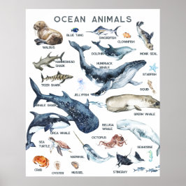 Poster Animais Marinhos | Aprendizado Educacional em Sala