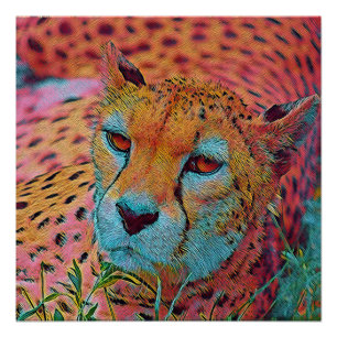 Pôster Animais populares - Chita